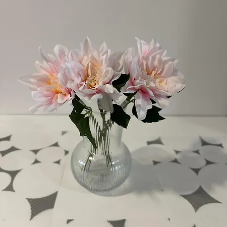 Village Marques De Pombal Accommodatie bij particulieren