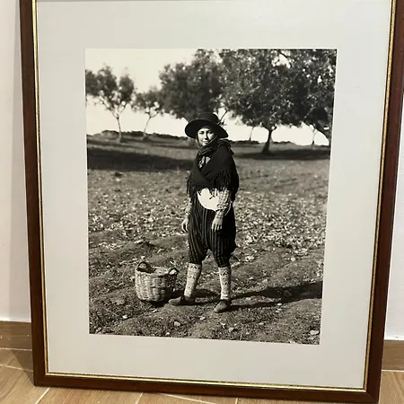 בית אירוח Village Marques De Pombal *